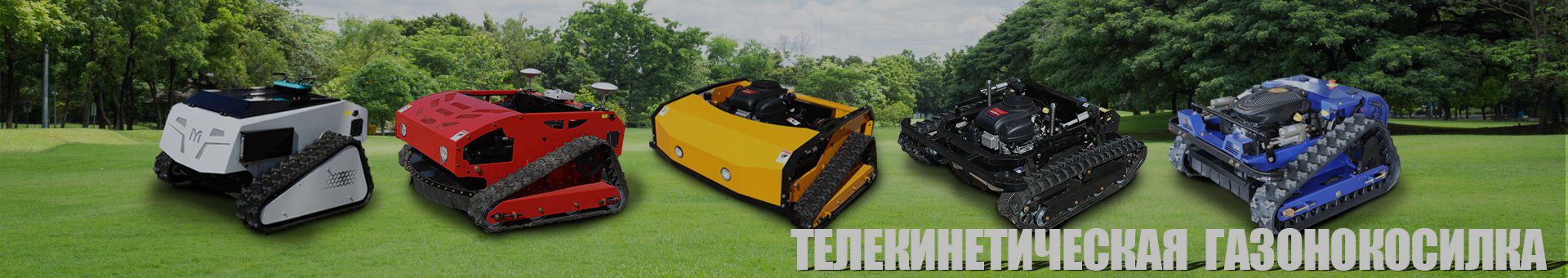 продукты