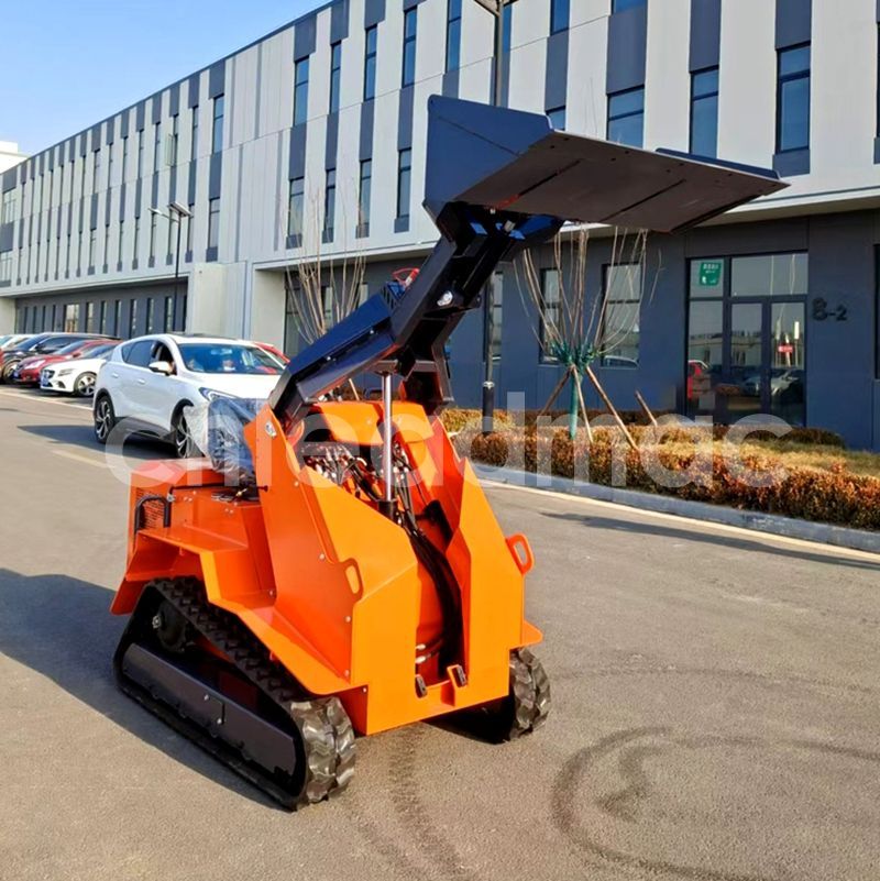 Tracked Skid-Steer Loader: Small Body, G