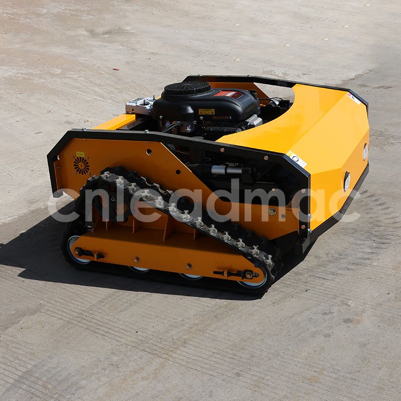 LD-1100 (1).jpg