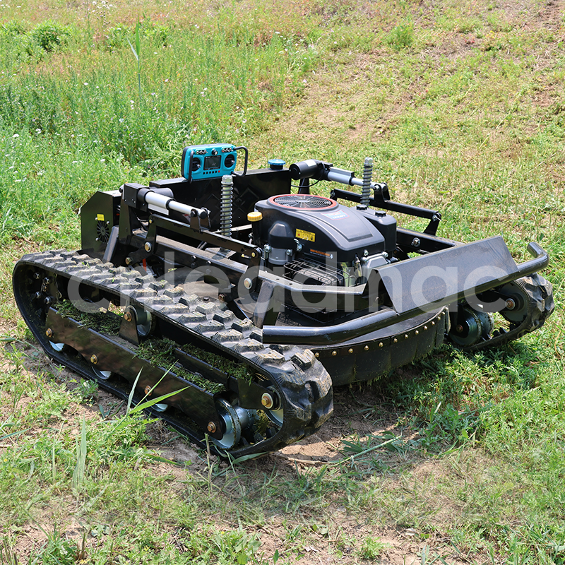 Efficient guardian o