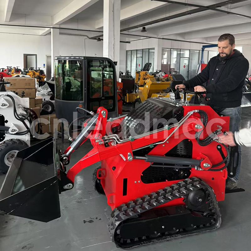 Polish Customers Vis